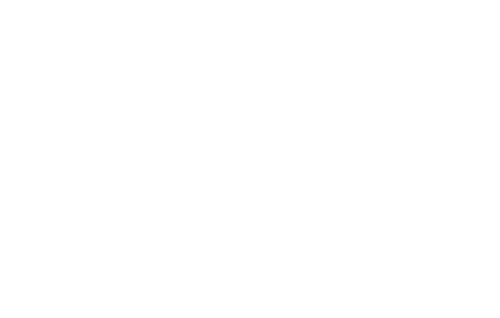 SHIPS — Solutions Hiding In Plain Sight